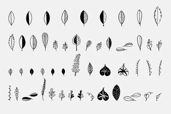 Leaf Doodles Font - YouWorkForThem