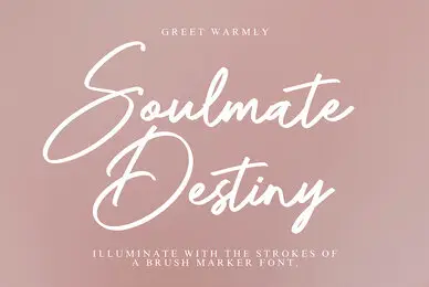 Soulmate Destiny
