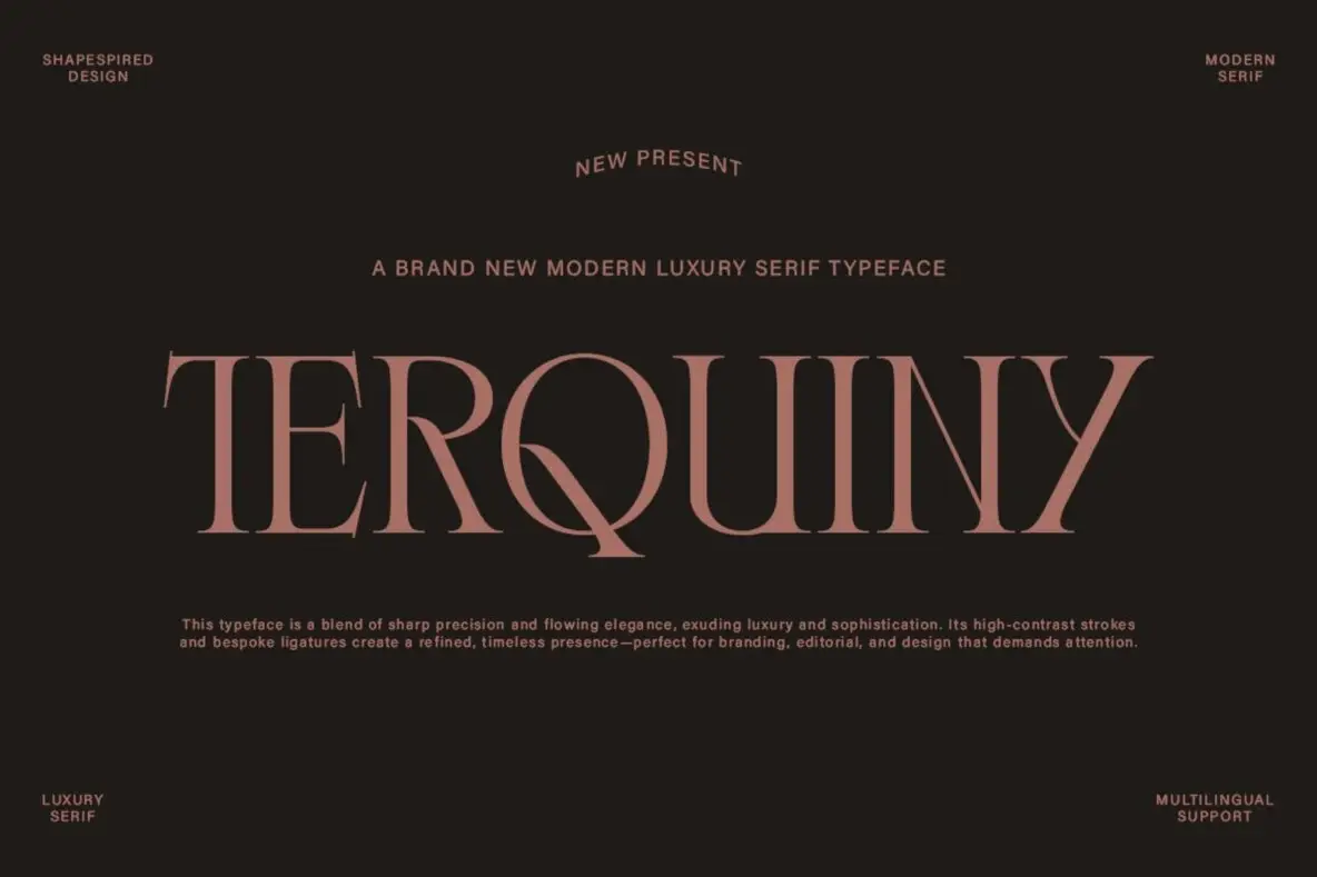 Terquiny Font