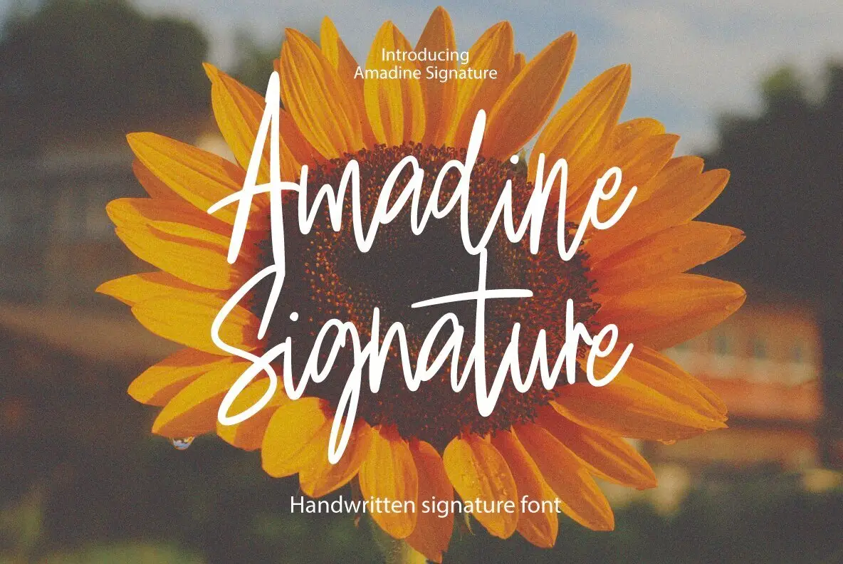 Amadine Signature