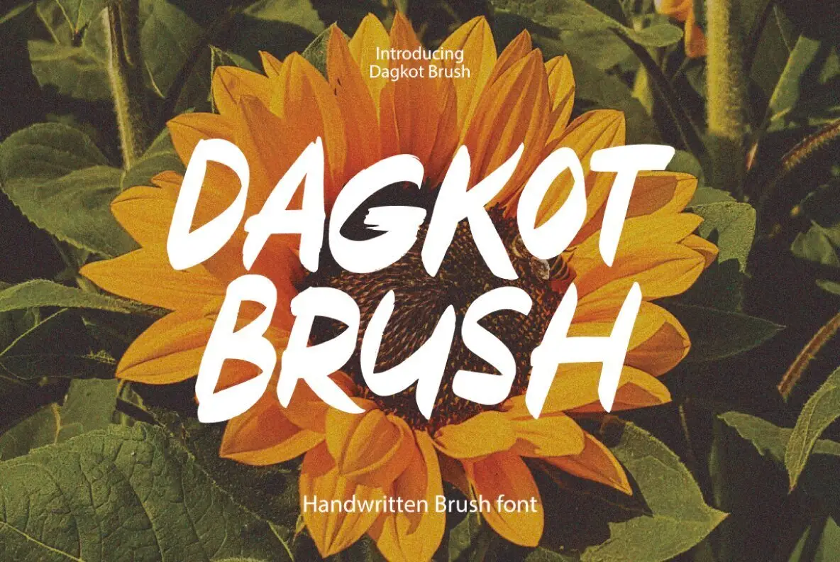 Dagkot Brush