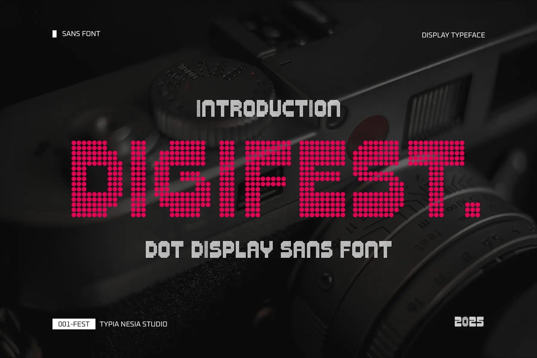 Digifest