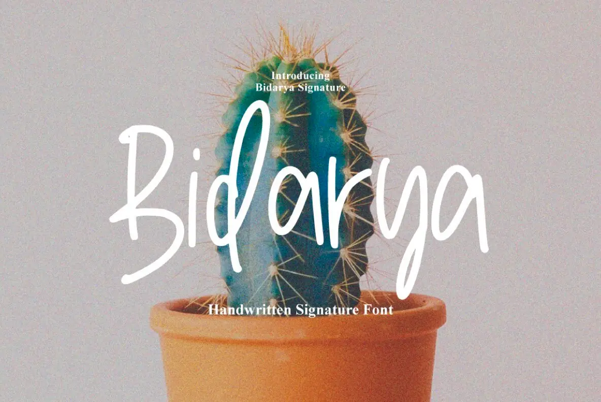 Bidarya Signature