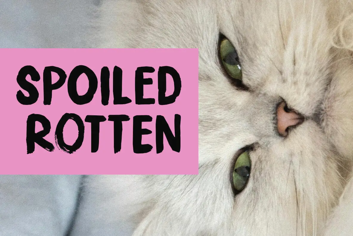 Spoiled Rotten