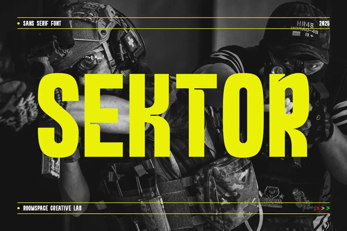 Sektor