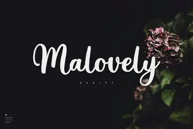 Malovely Script