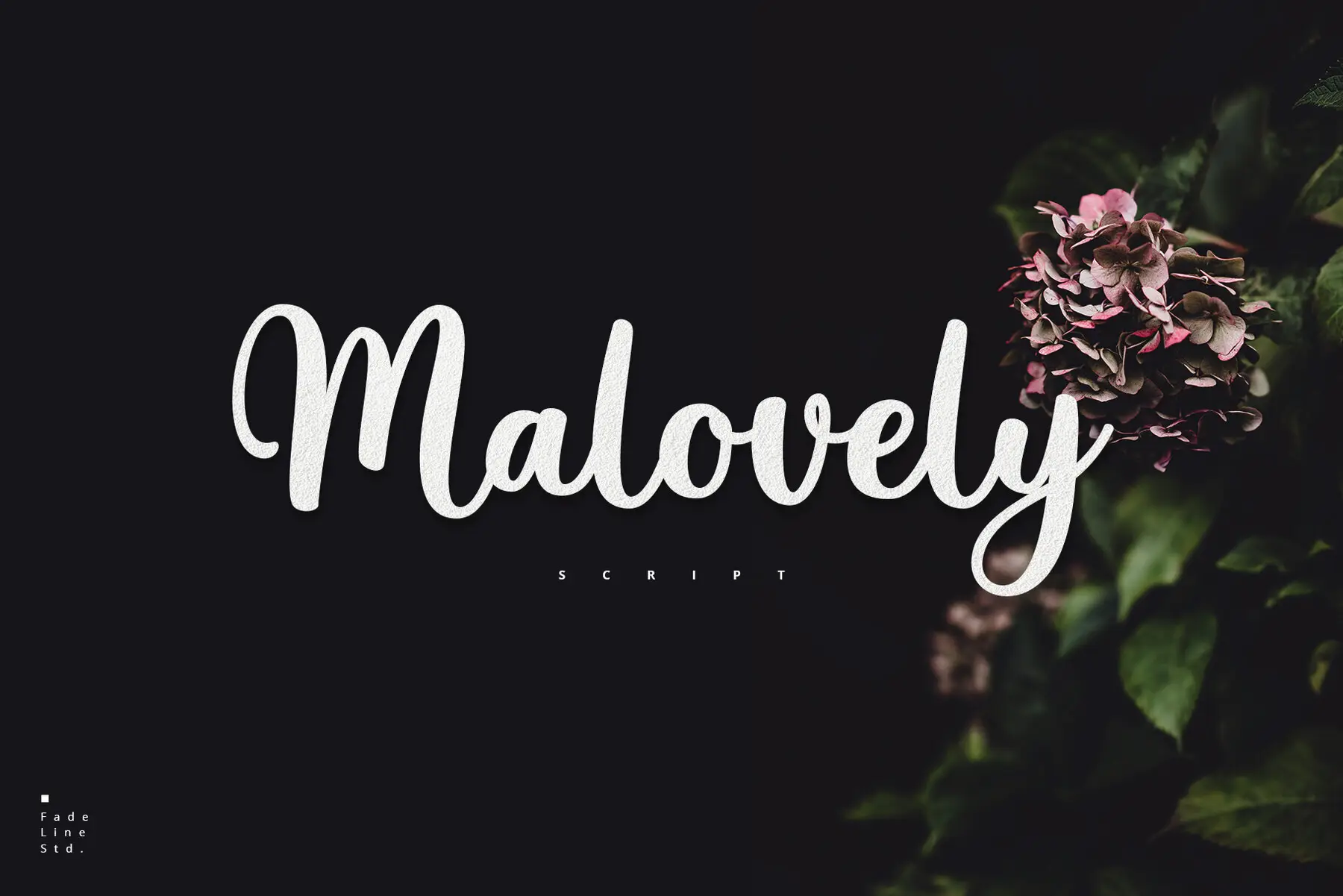 Malovely Script