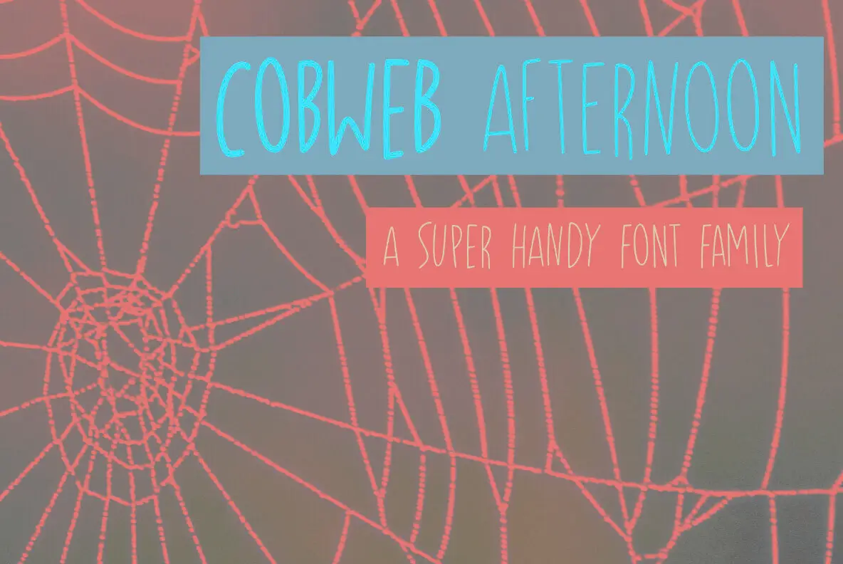 Cobweb Afternoon