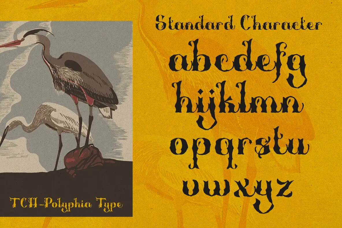 Polyphia Word Polyphia Font - Fontpath