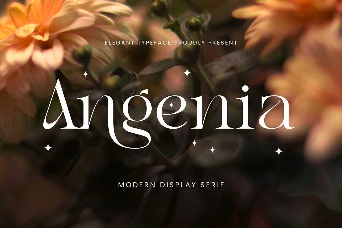 Angenia Font - FontPath
