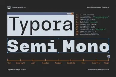 Best Fonts for Coding - YouWorkForThem