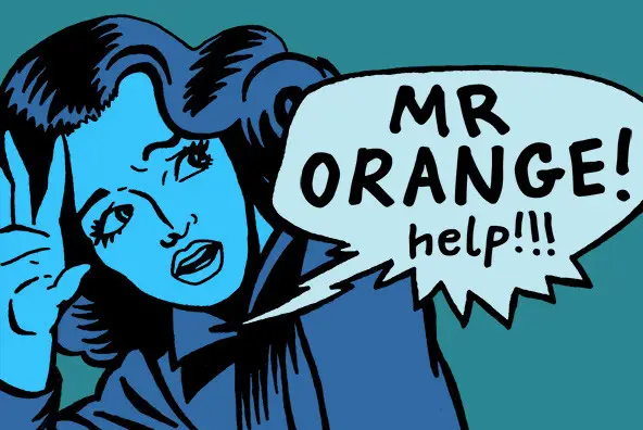 Mr Orange