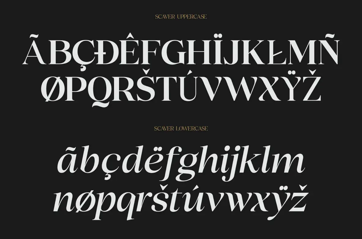 Scaver Scaver Font - FontPath