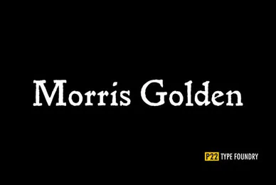 P22 Morris Golden