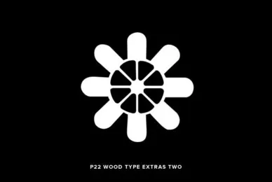 P22 Wood Type Extras Two