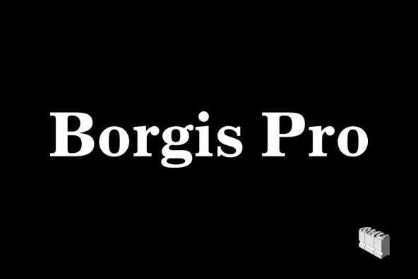 Borgis Pro