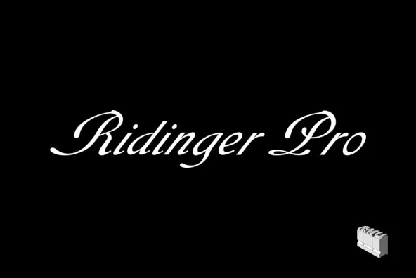 Ridinger Pro