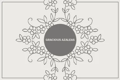 Gracious Azaleas