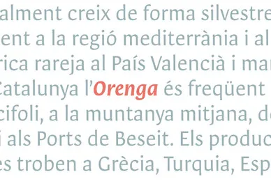 Orenga