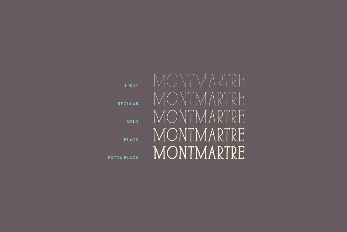 Paris Serif Font YouWorkForThem