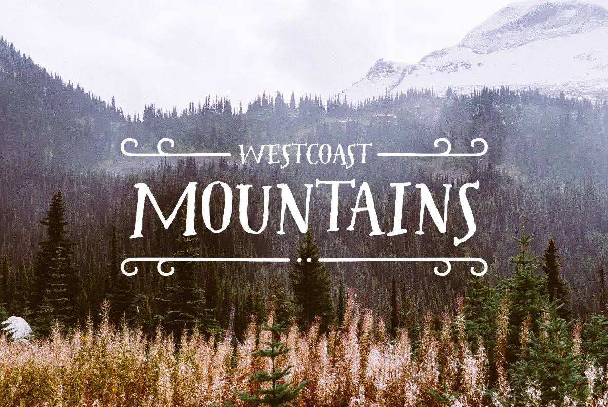 Westcoast Letters Font - YouWorkForThem