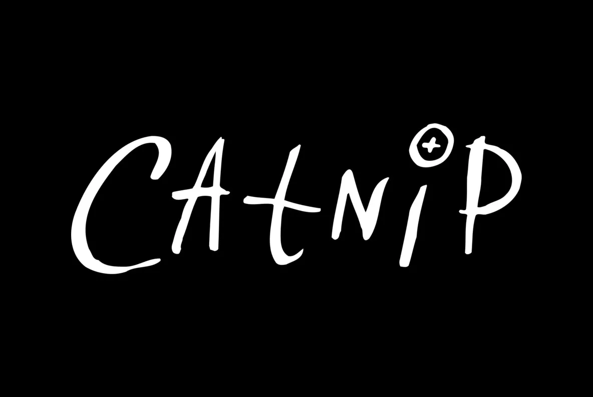 Catnip