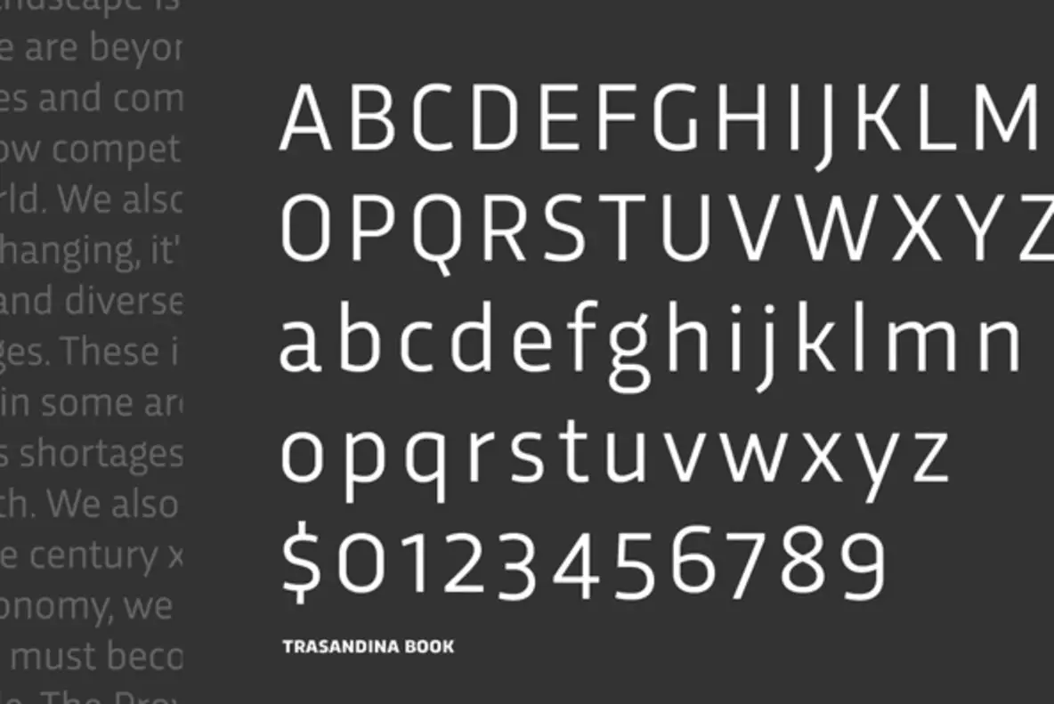 Trasandina Font - YouWorkForThem