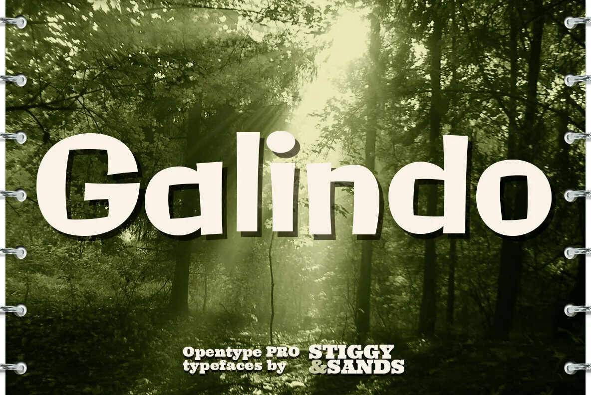 Galindo Pro