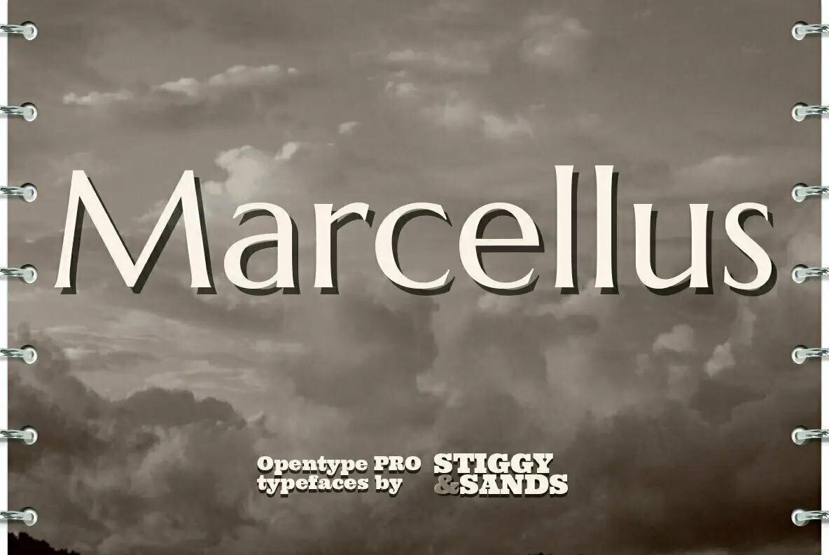 Marcellus Pro