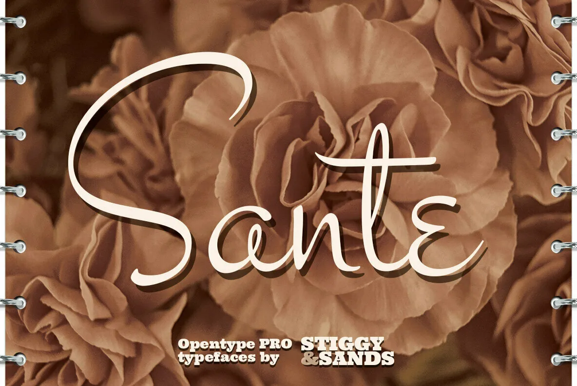 Sante Pro