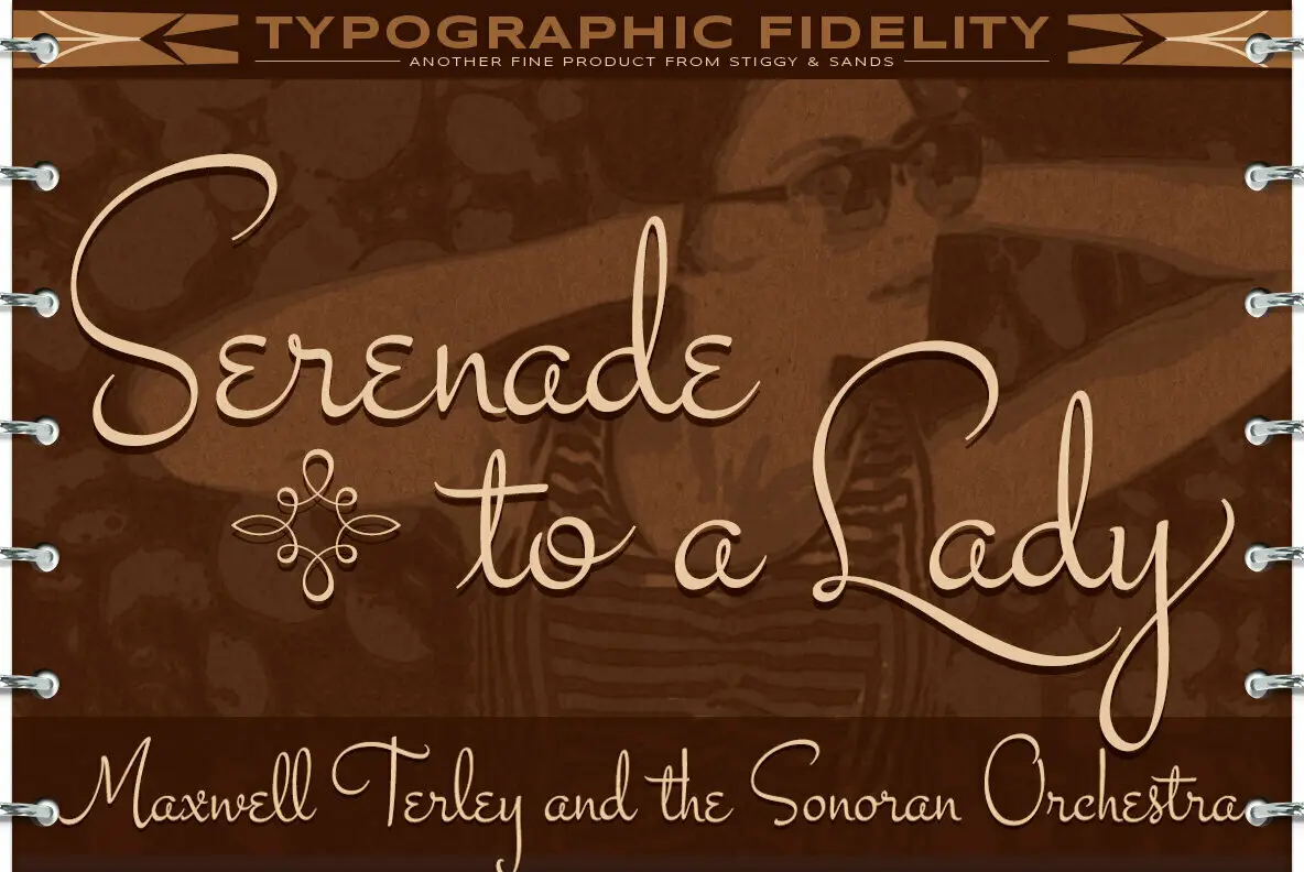 Sante Pro Font YouWorkForThem