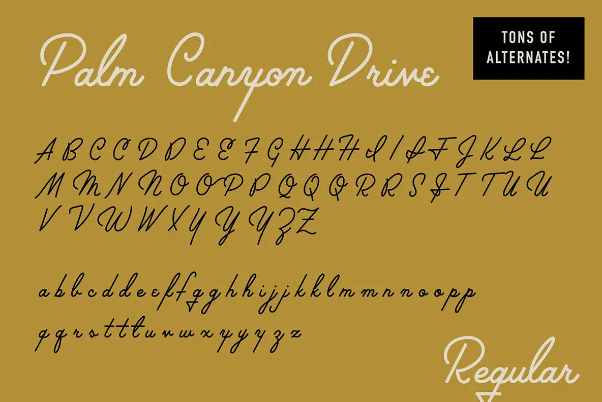 Palm Ridge Font Palm Canyon Drive - Deluxe Edition Font - Fontpath