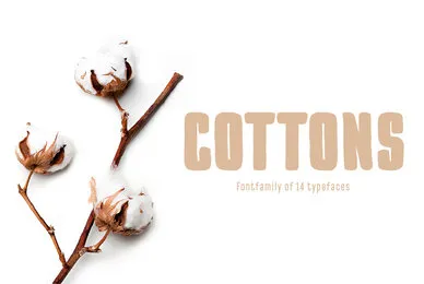 Pinatas Cottons