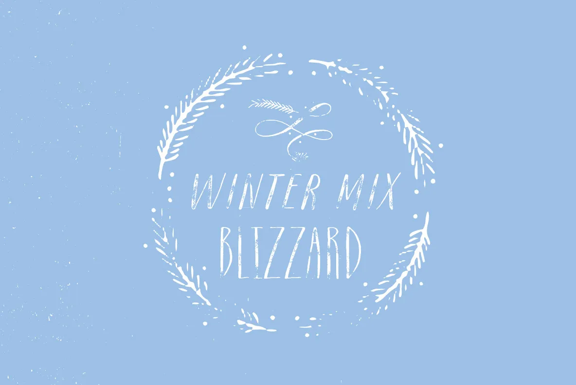 Winter Mix Blizzard