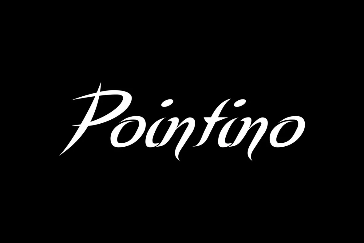 Pointino