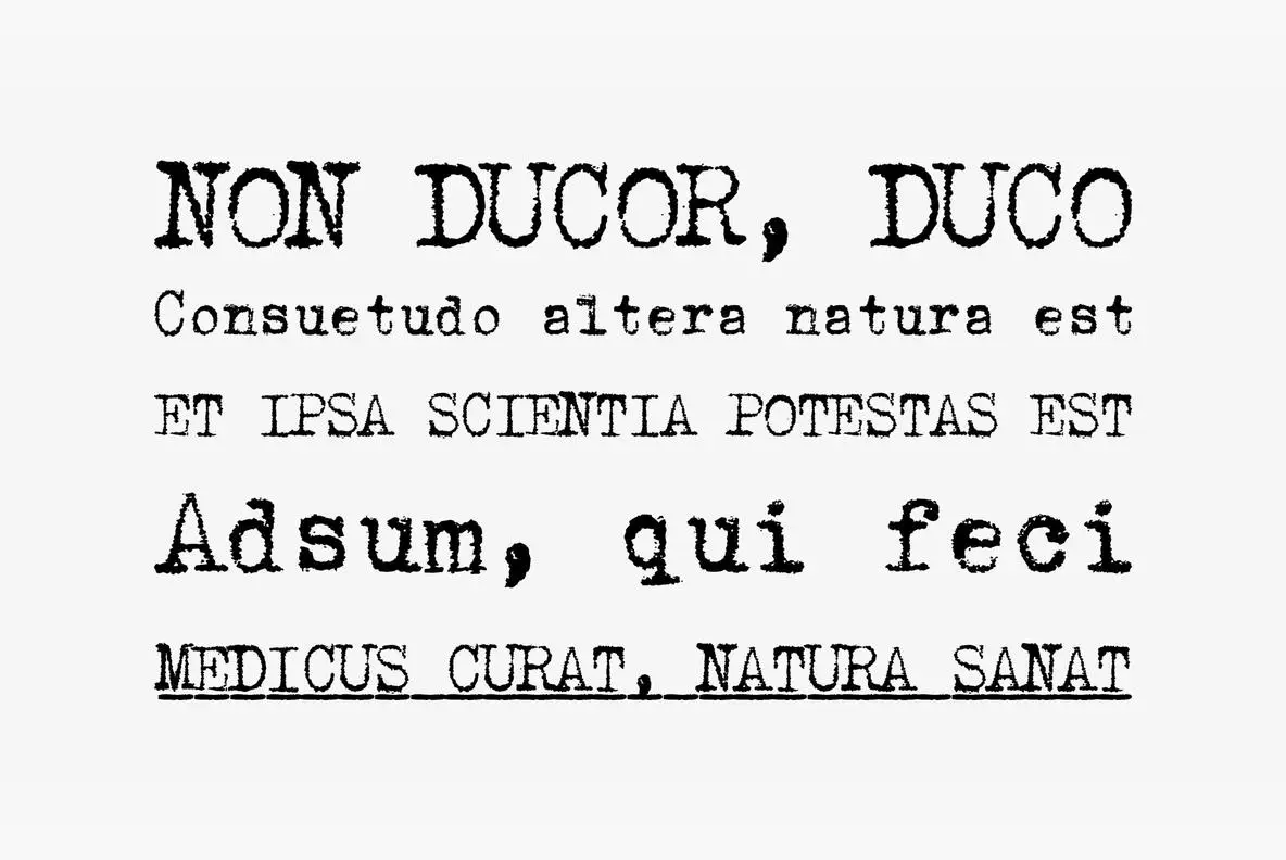 1913 Typewriter Font - Fontpath