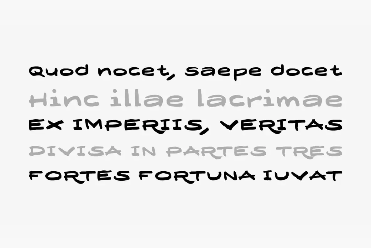 Designer Script Font - FontPath