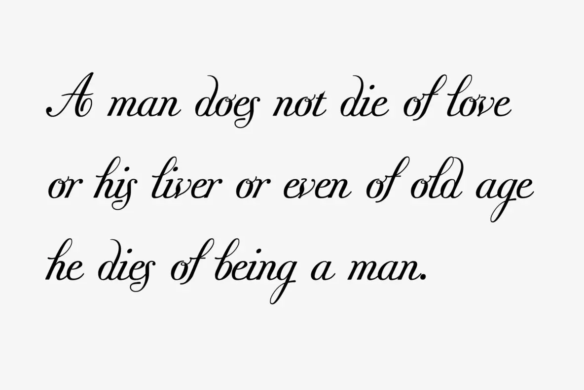 Donna Bodoni Font - YouWorkForThem