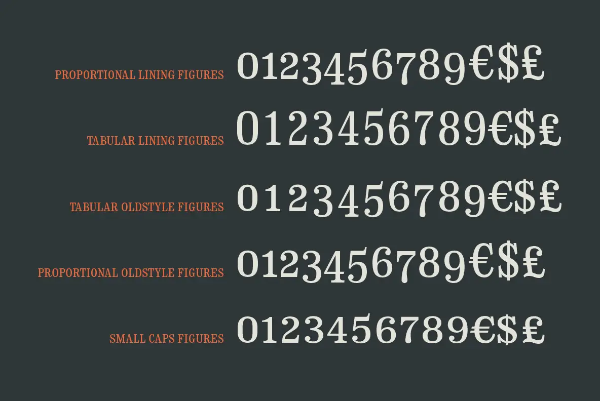CA Normal Serif Font - YouWorkForThem