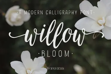 Willow Bloom