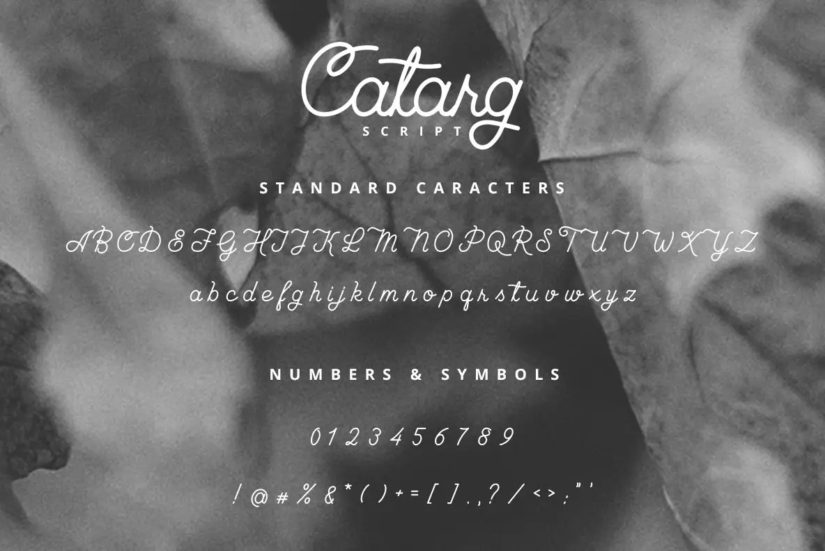 Catarg Font - FontPath