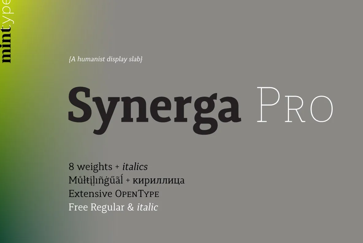 Synerga Pro