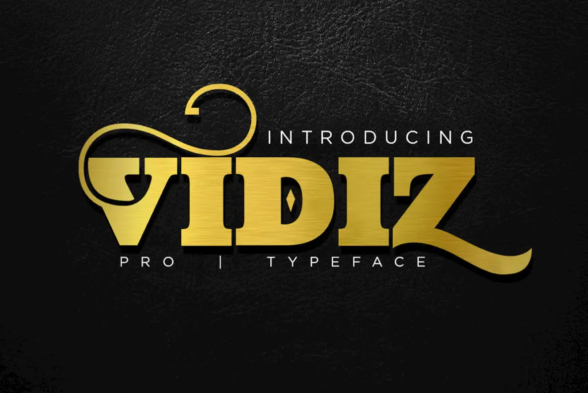 Vidiz Pro