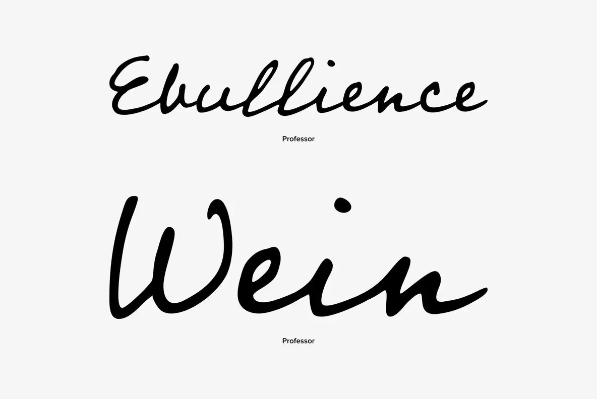 Professor Font - YouWorkForThem