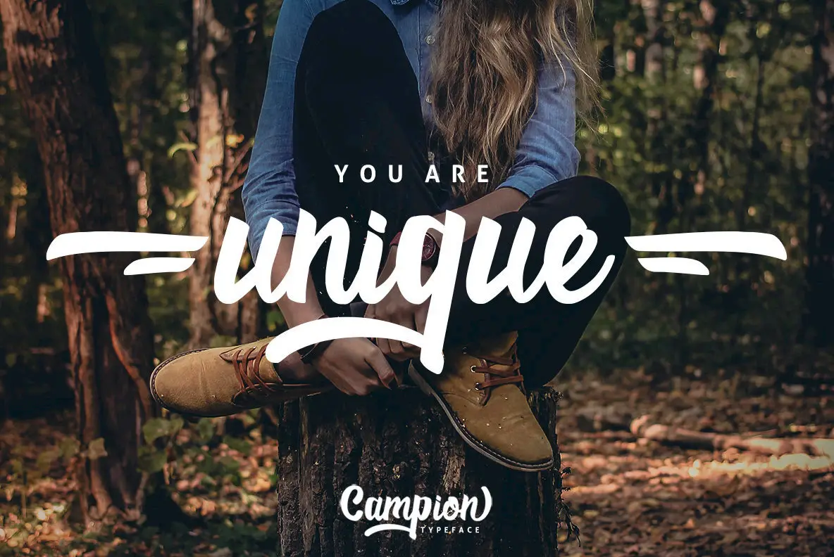 Campion Typeface Font - Fontpath