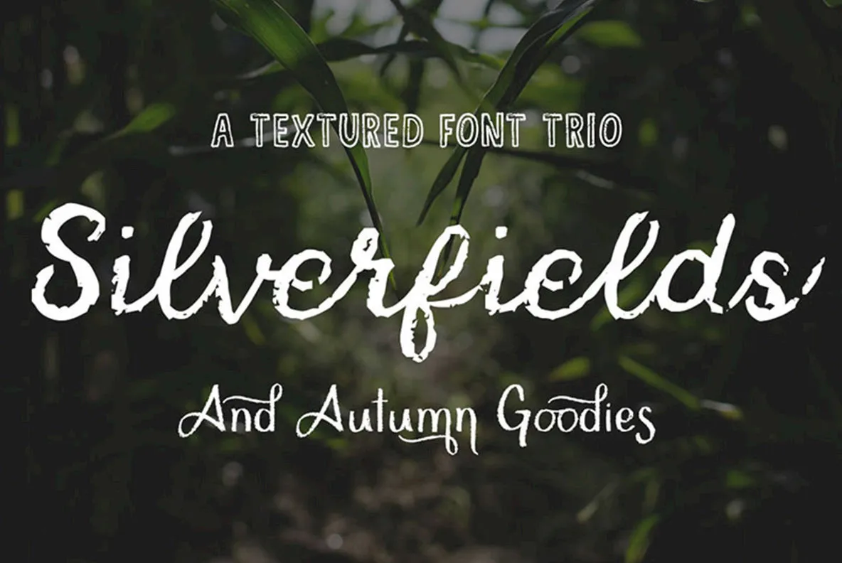 Silverfields - Font Trio