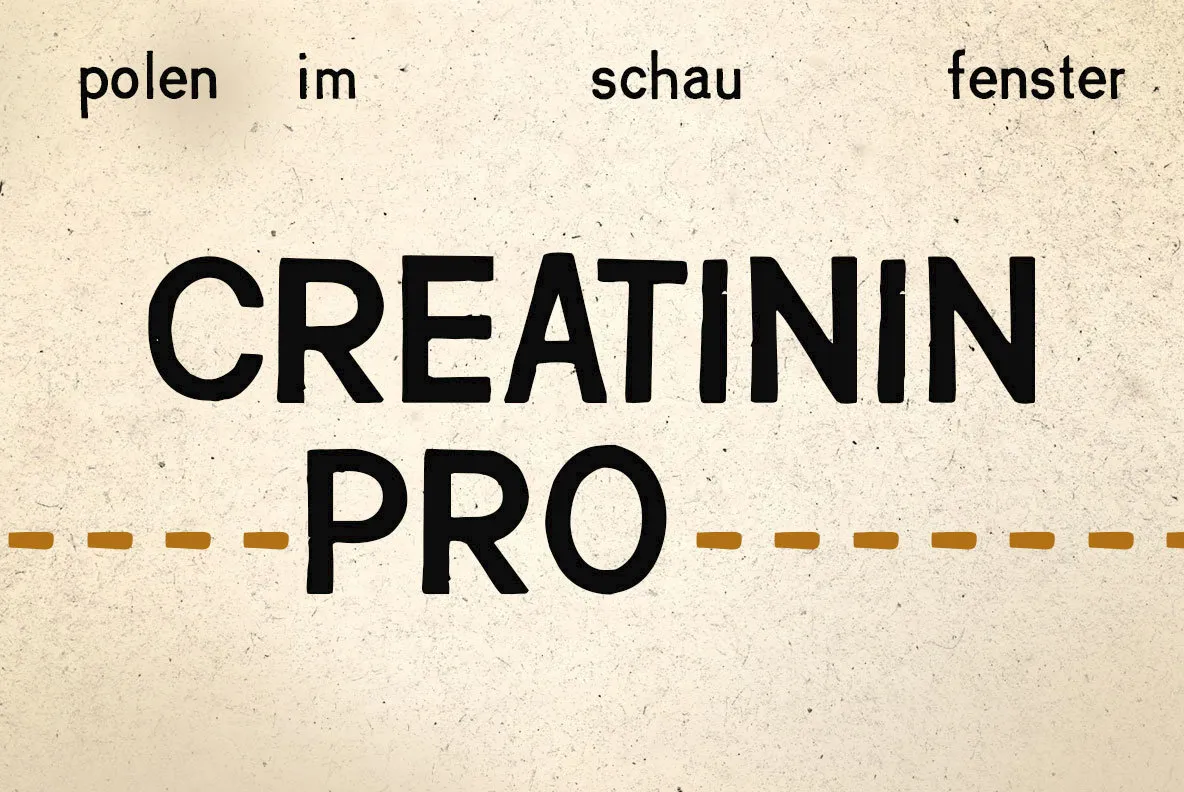 PiS Creatinin Pro Font - YouWorkForThem