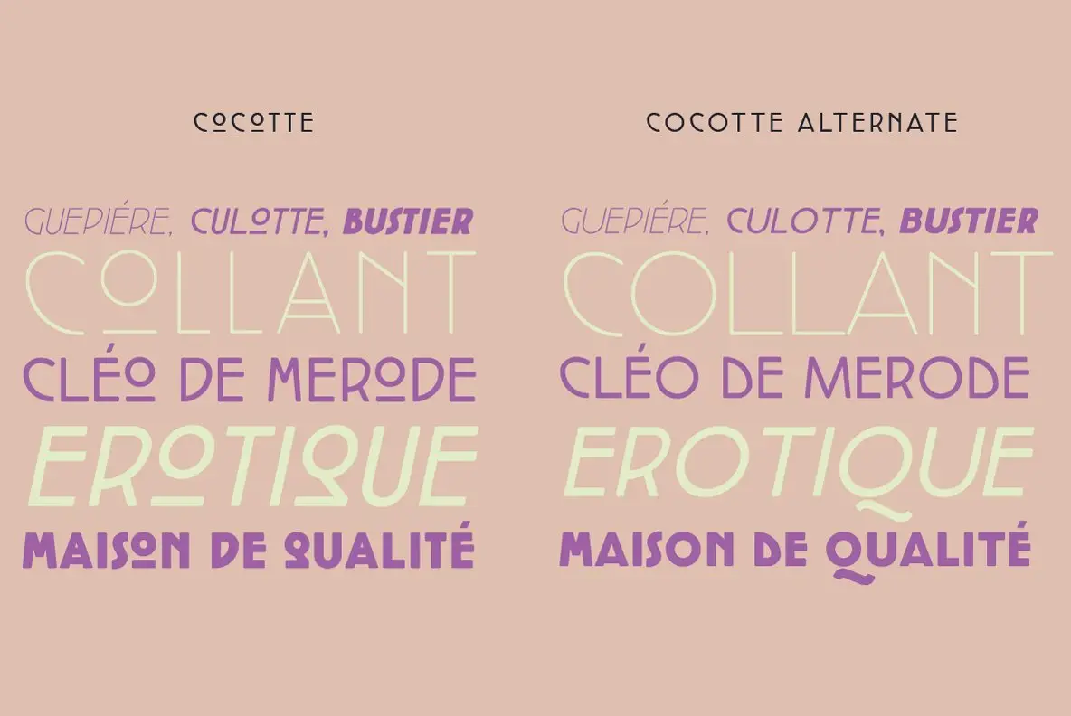 cocotte-font-youworkforthem