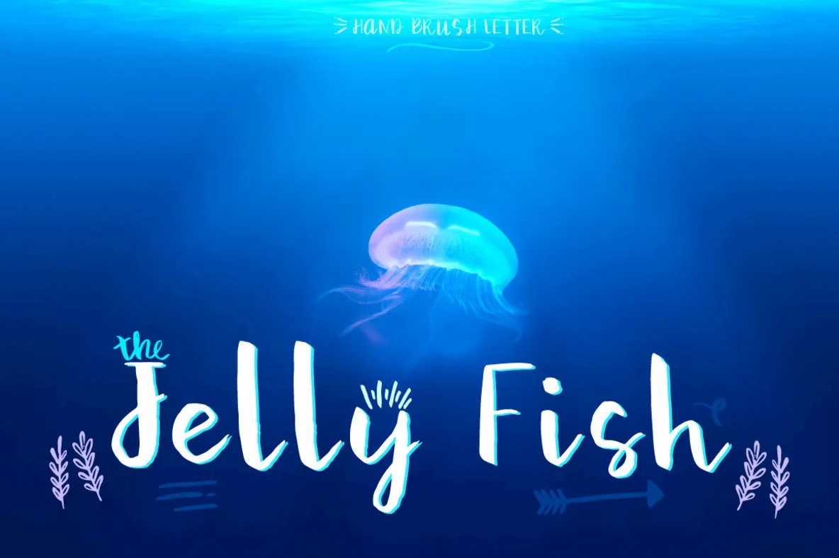 Jelly Fish