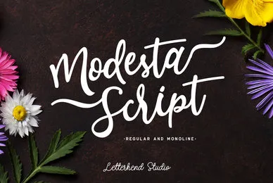 Modesta Script